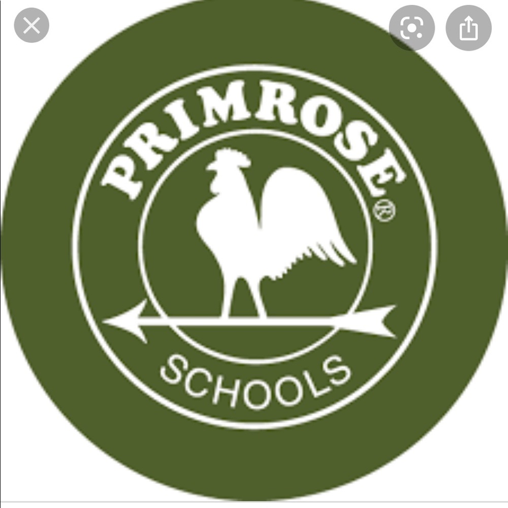 Primrose Shirts